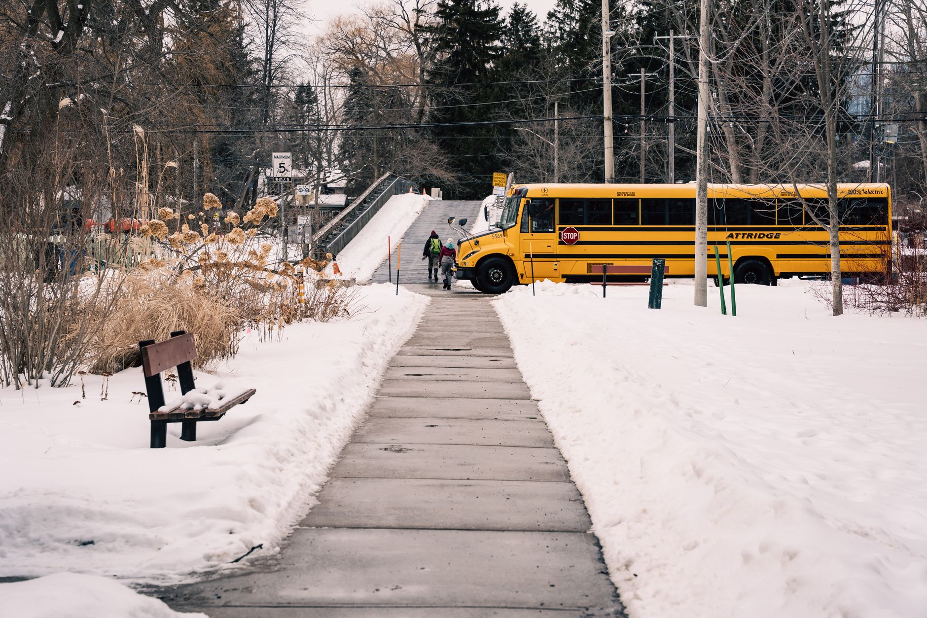 How to Verify Your Naperville School District: 203 vs 204 (2026)